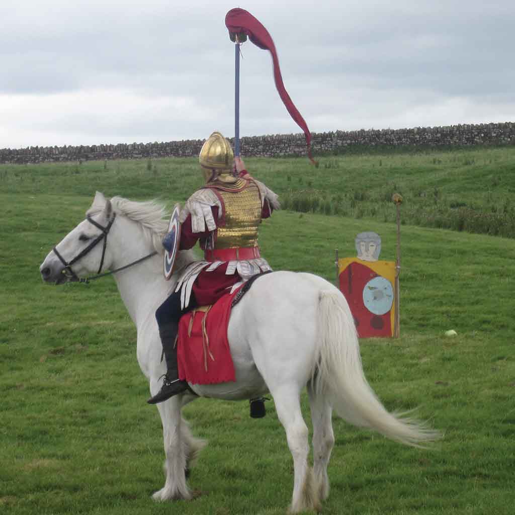 مردان شوالیه شریک زندگی خود می شوند