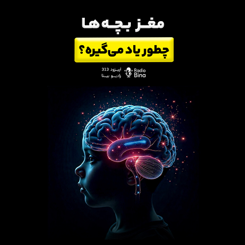 مغز بچه‌ها چطور یاد می‌گیره؟